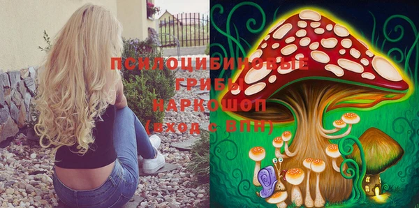 МДПВ Билибино
