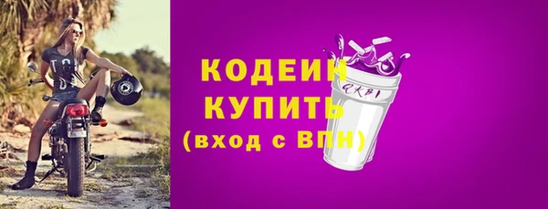 МДПВ Билибино