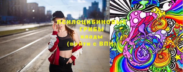 МДПВ Билибино